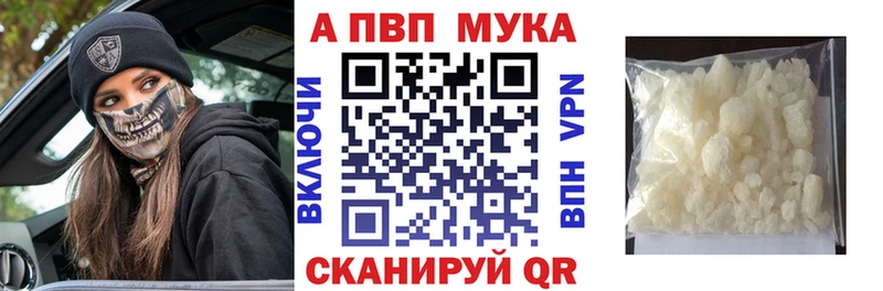 Альфа ПВП СК Любань