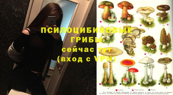 дживик Алексеевка