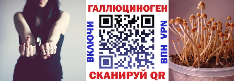 Галлюциногенные грибы MAGIC MUSHROOMS  купить наркоту  Любань 